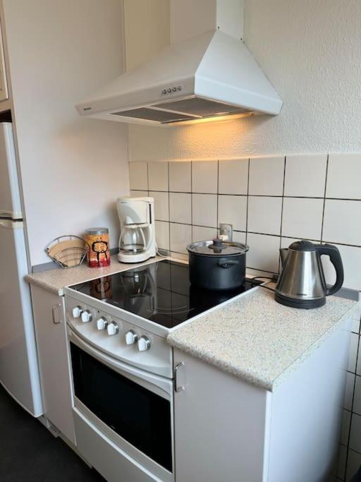 Stor Og Lys Lejlighed I Hjertet Af Holstebro Extérieur photo
