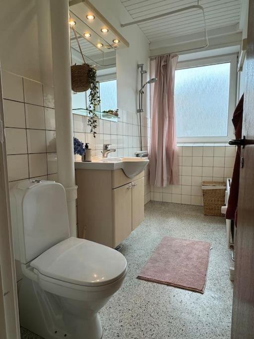 Stor Og Lys Lejlighed I Hjertet Af Holstebro Extérieur photo
